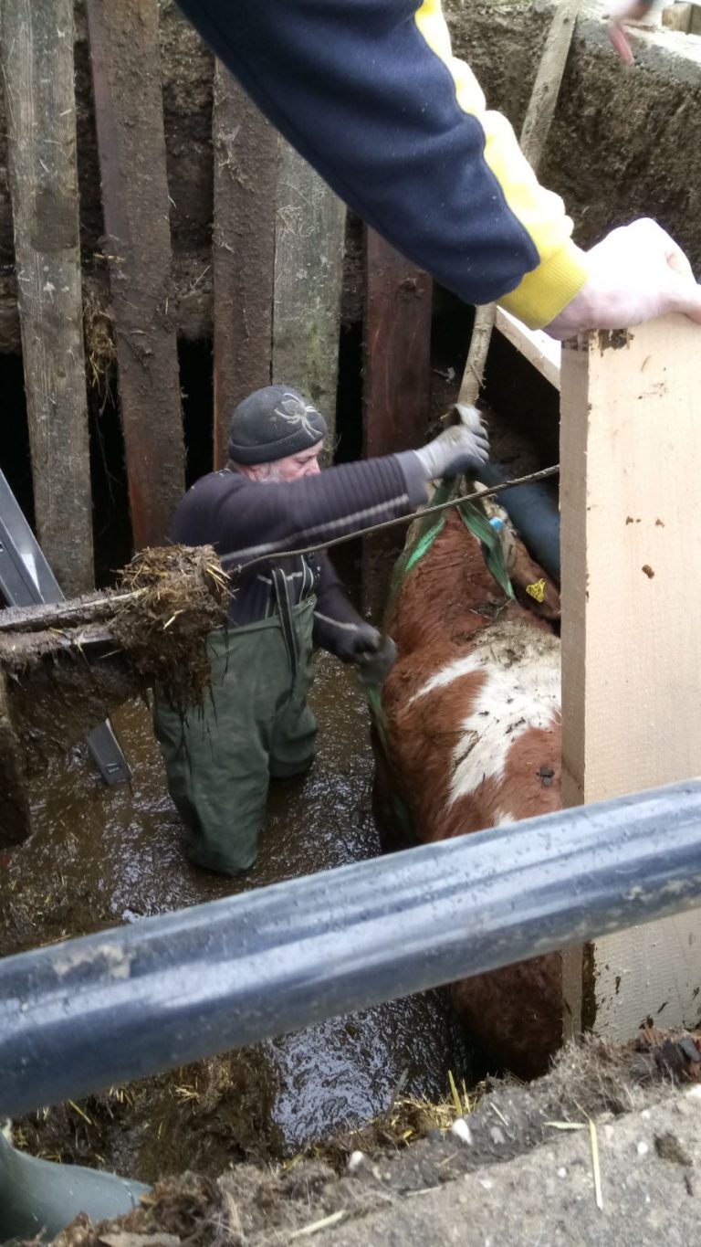 Einsatz Tierrettung in Obernschlag