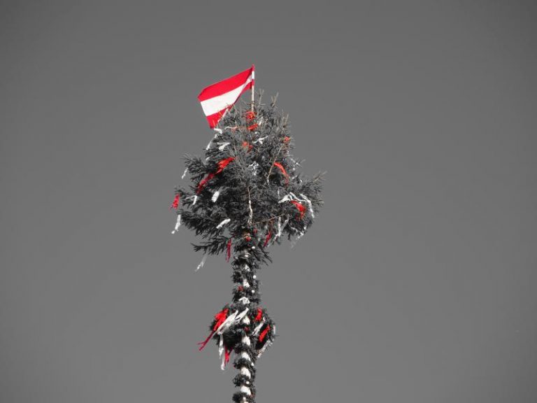 Maibaumfest 2018