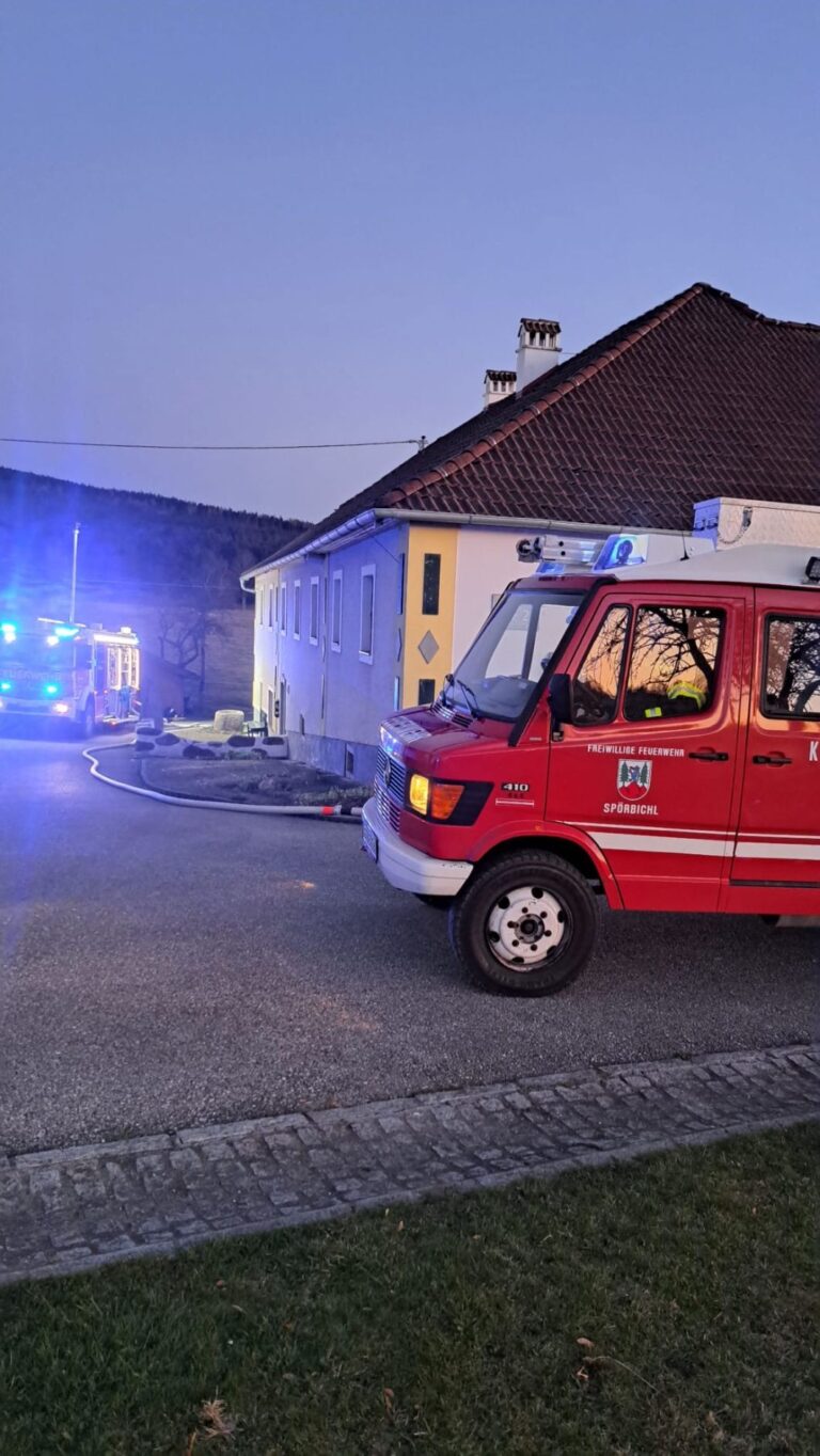 Gemeinschaftsübung mit der FF Windhaag